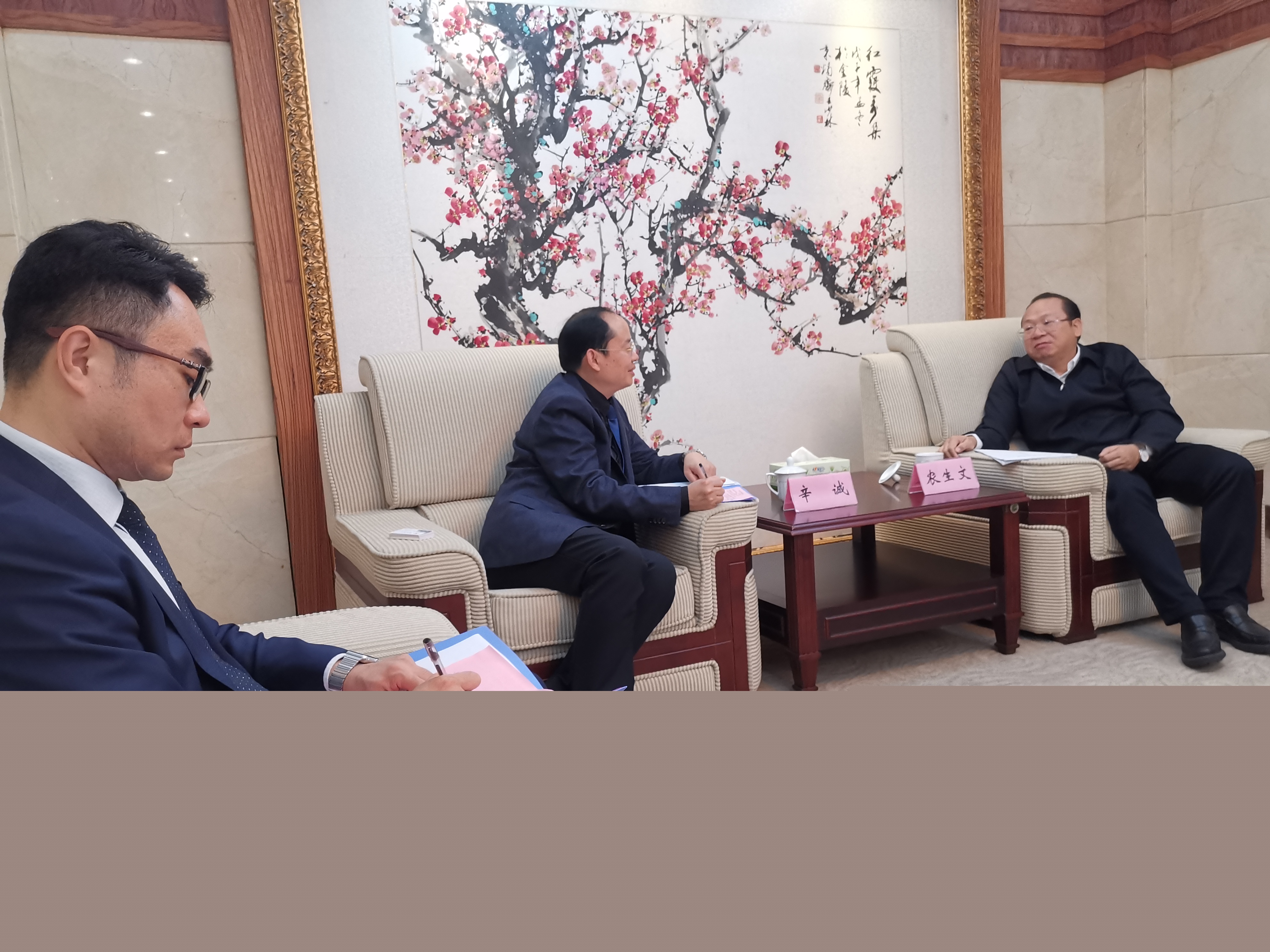 陽光控股教育集團高層就來賓市培文學校的發展與市委書記農生文會談